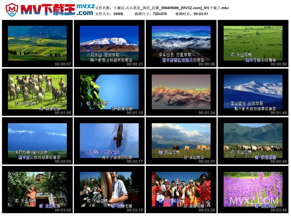 王丽达-天山思念_国语_民歌_MB405686